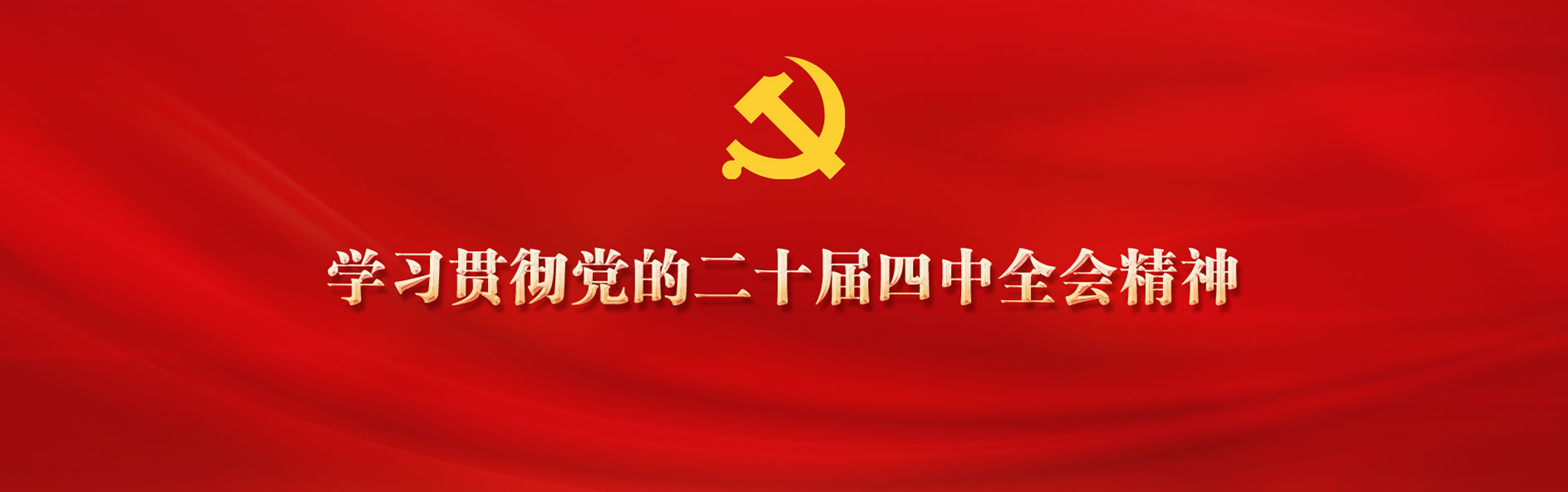 学习贯彻党的二十届四中全会精神.png